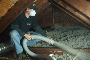 cellulose Insulation